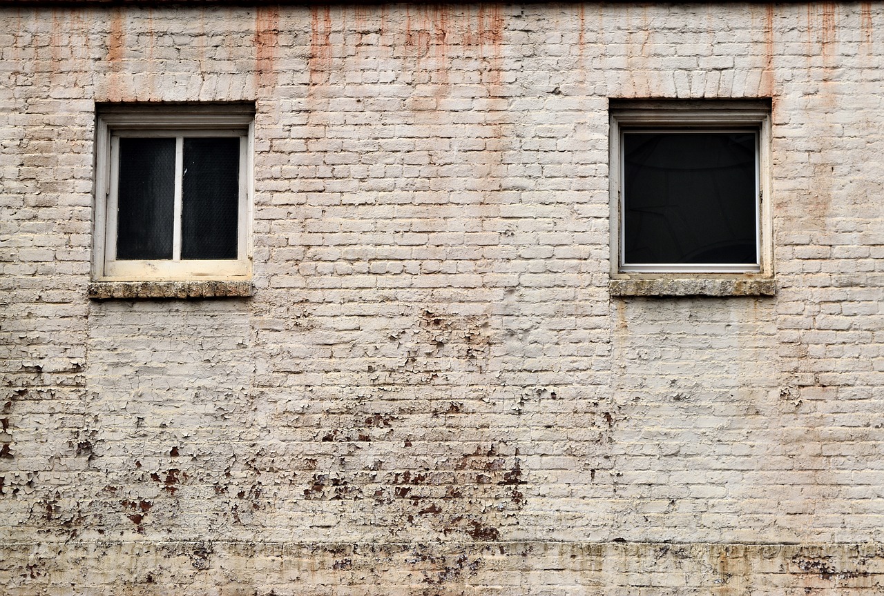 a brick building with two windows and a fire hydrant, by Richard Carline, postminimalism, worn decay texture, white powder bricks, 5 7 9, large window