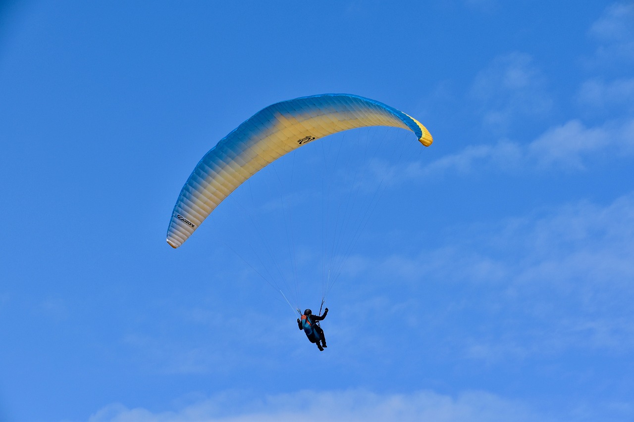 a person that is in the air with a parachute, by David Burton-Richardson, flickr, blue and yellow fauna, fine wind, nice afternoon lighting, including a long tail