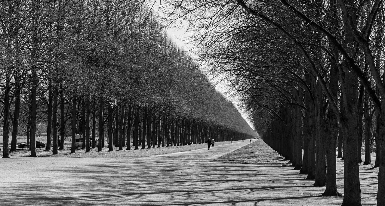 a black and white photo of a row of trees, inspired by Pierre Pellegrini, pexels contest winner, visual art, people walking, versailles, warm spring, tri - x pan