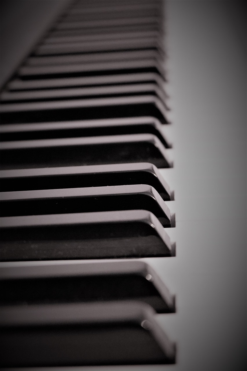 a black and white photo of a piano keyboard, a macro photograph, minimalism, modern high sharpness photo, low angle photo, high details photo, hdr detail