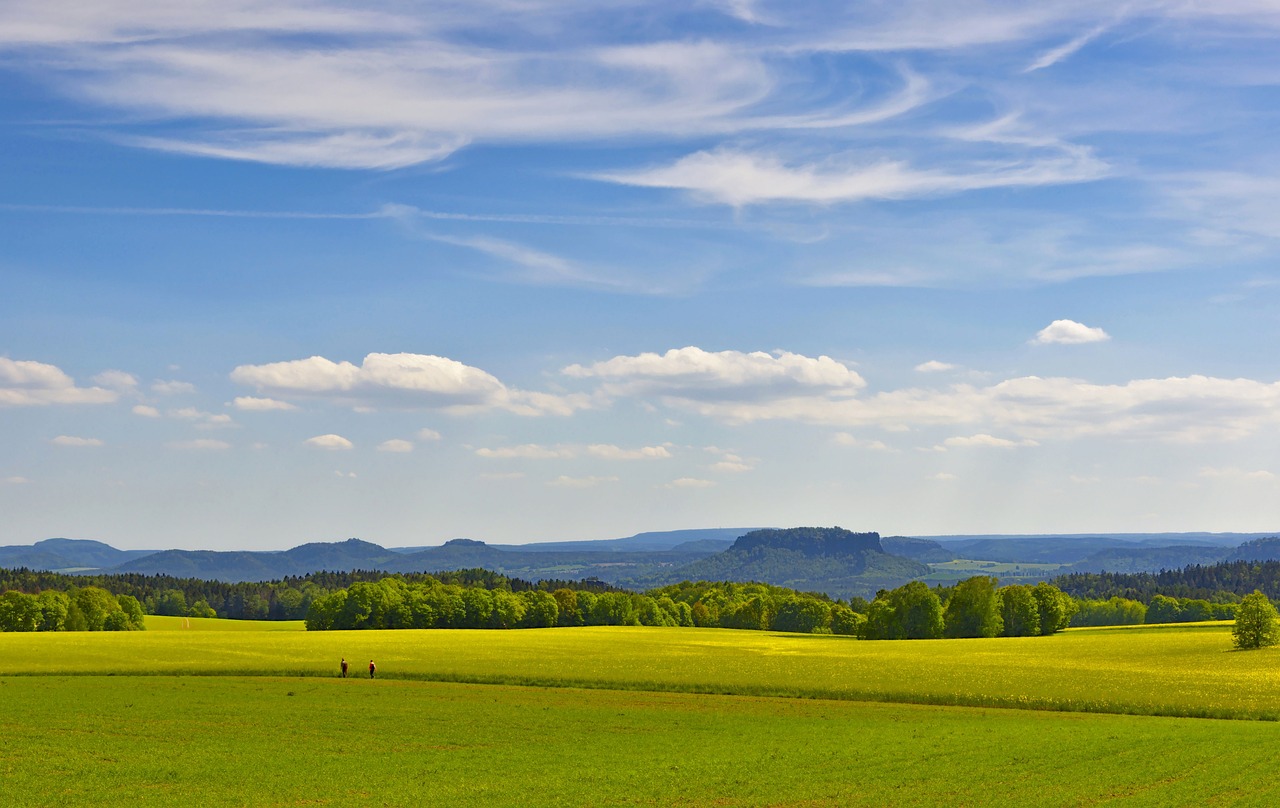 a couple of cows standing on top of a lush green field, a picture, by Karl Hagedorn, karst landscape ; wide shot, people walking in the distance, blue - yellow sky, 1128x191 resolution