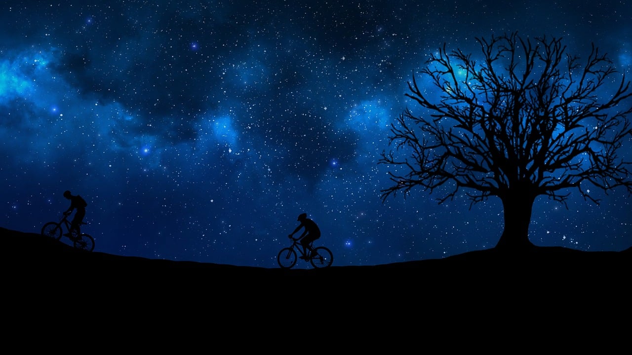 a couple of people riding bikes next to a tree, pixabay contest winner, space art, deep blue night sky, dark. no text, avatar image, background image