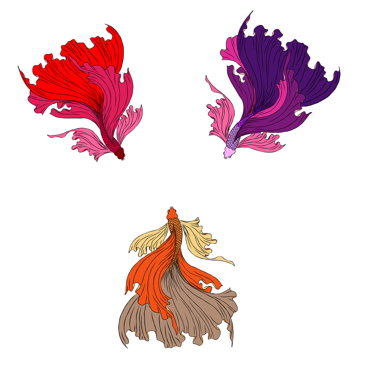 three different colored fish on a black background, concept art, inspired by Kameda Bōsai, art nouveau, flowers. baroque elements, betta fish, dressed in long fluent skirt, minimalistic illustration