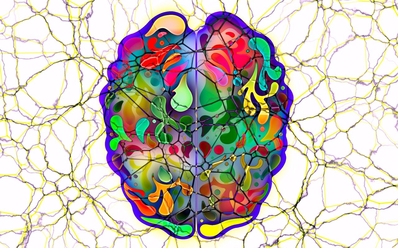 a computer generated image of a human brain, generative art, colorful intricate masterpiece, in the middle of the day, interconnected, the cytoplasm”