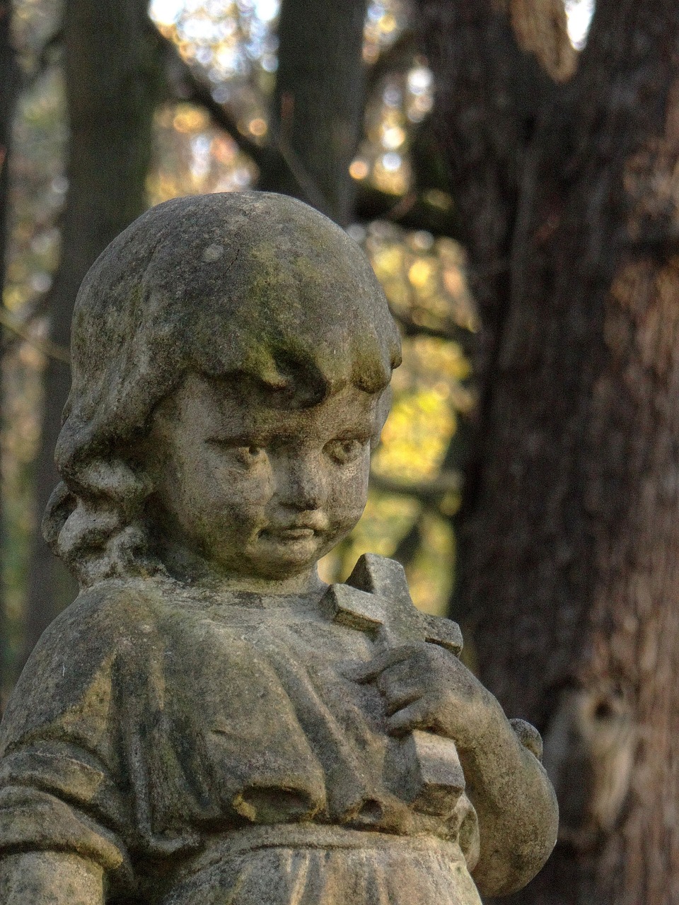 a statue of a little girl holding a bird, by Viktor de Jeney, pixabay, vanitas, on forest path, detail face, churchyard, 1 9 4 2