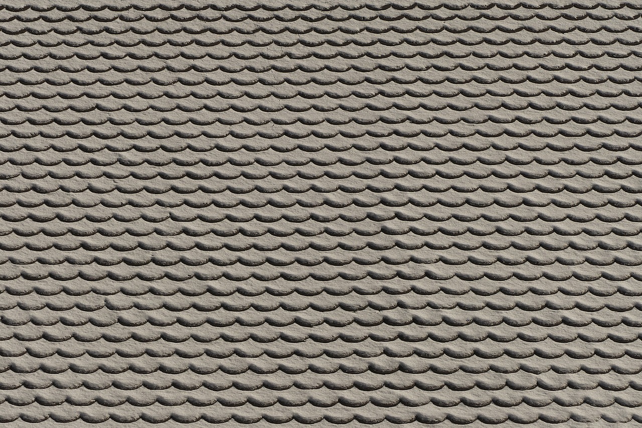 a black and white photo of a roof, a stock photo, by Jan Kupecký, shutterstock, 4 k seamless mud texture, brown scales, flat grey color, petite
