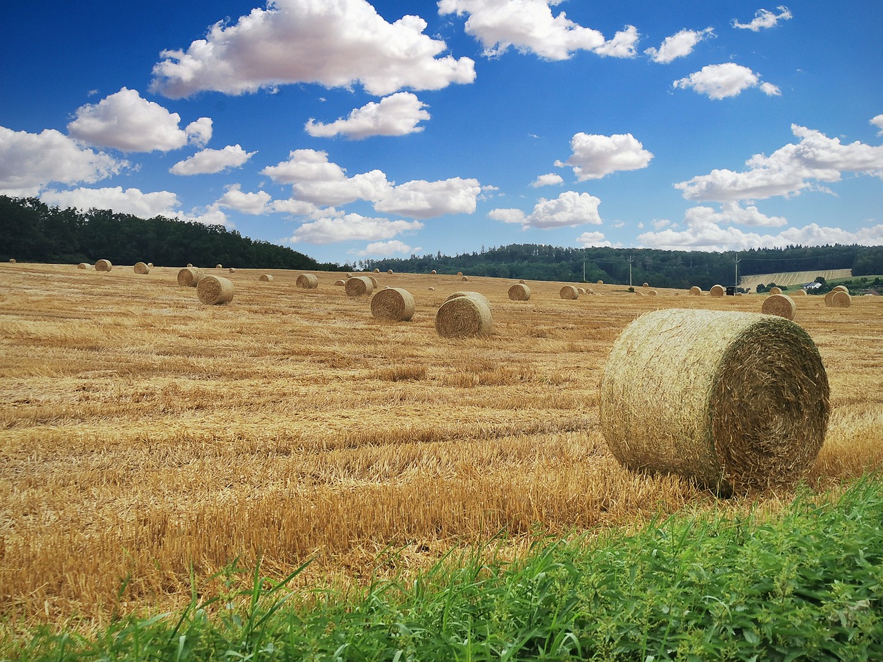 a field full of hay bales under a blue sky, a picture, shutterstock, landscape in background, stock photo