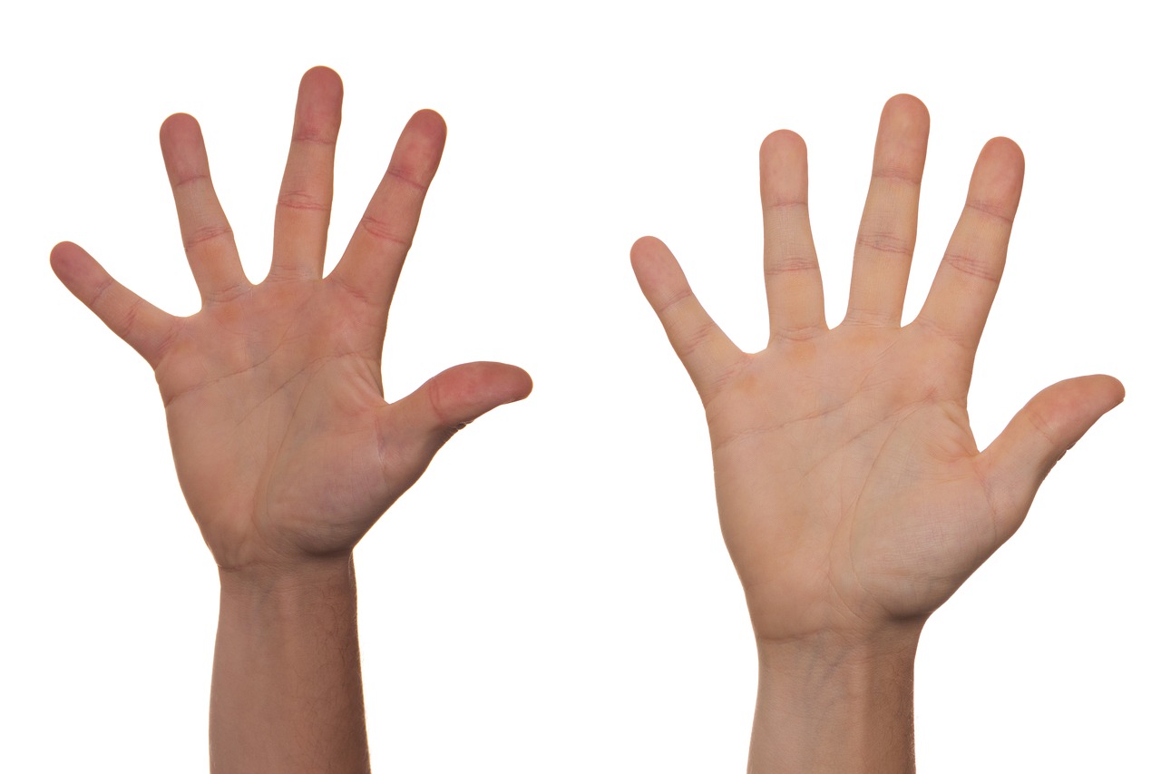 a close up of a person's hands on a white background, a stock photo, by Juan O'Gorman, shutterstock, front and back view, exactly 5 fingers, symobolism, it's very huge