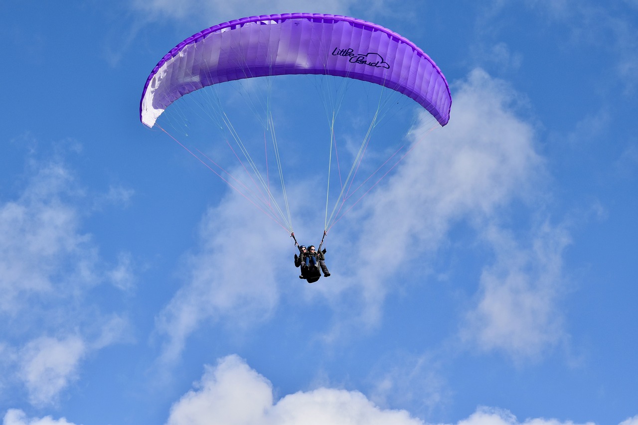 a person that is in the air with a parachute, by David Burton-Richardson, pixabay, hurufiyya, purple leather wings, blue skies, flying vehicles, canopy