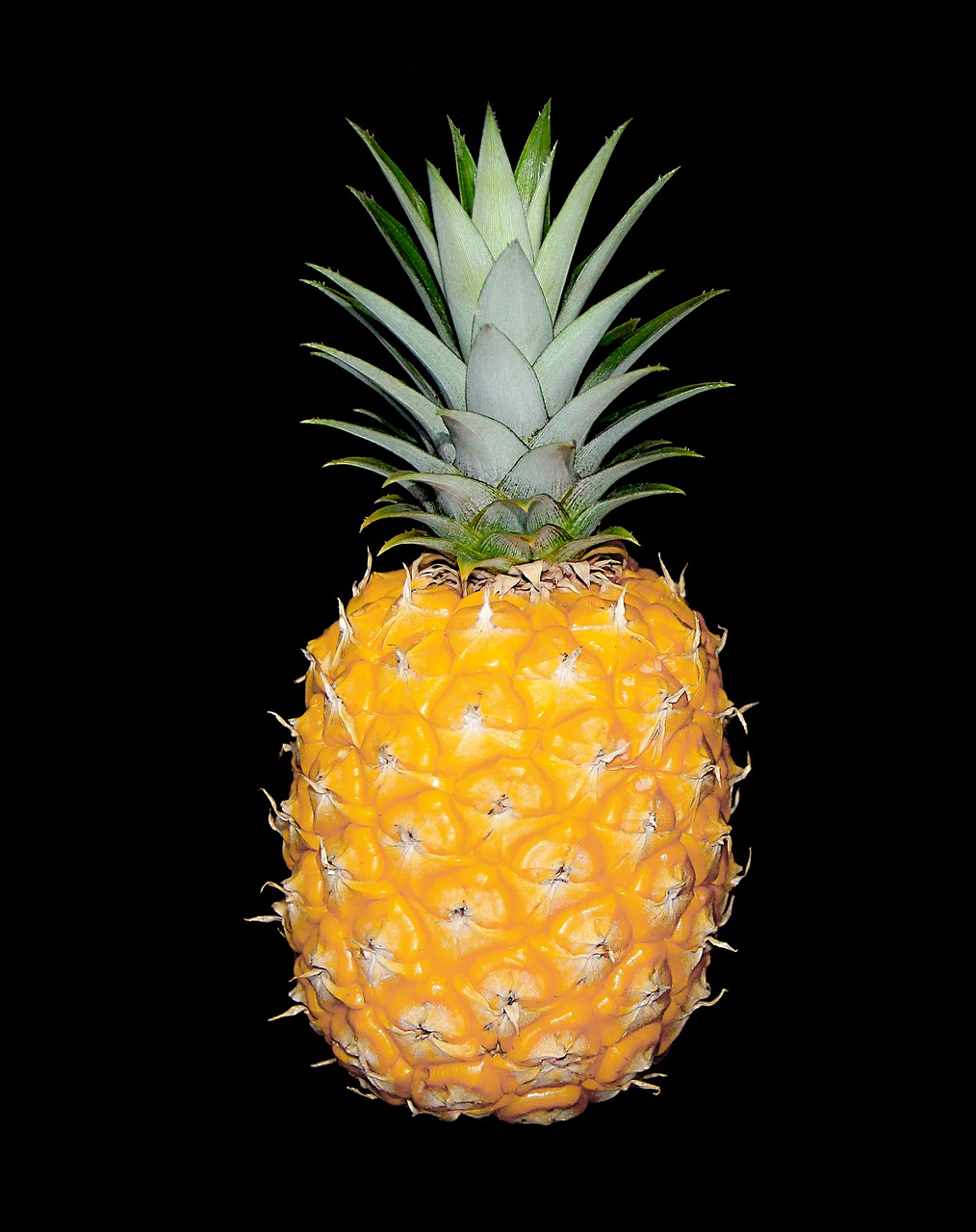 a close up of a pineapple on a black background, a digital rendering, hurufiyya, -h 1024, full body close-up shot, family photo