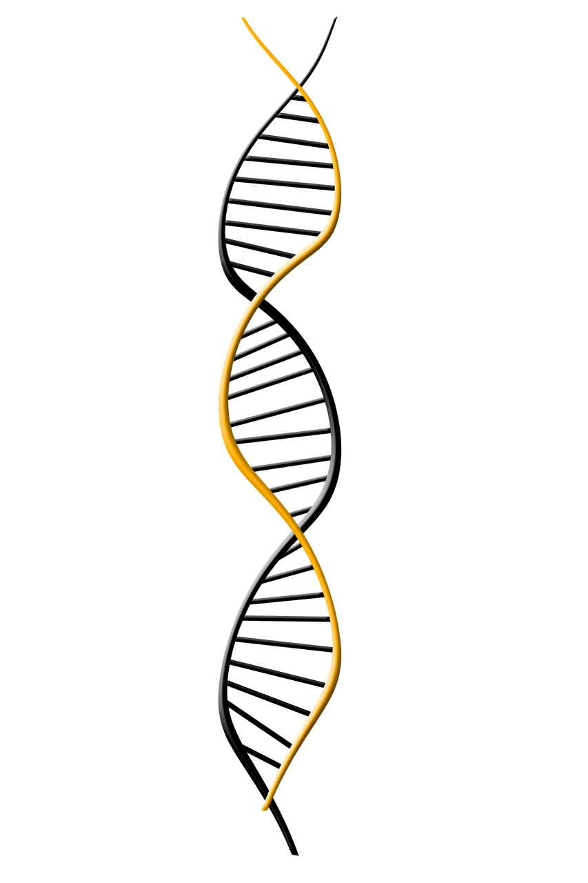 a single strand of dna against a black background, a digital rendering, zbrush central, generative art, yellow and black trim, raytraced blade, high res photo, ladder