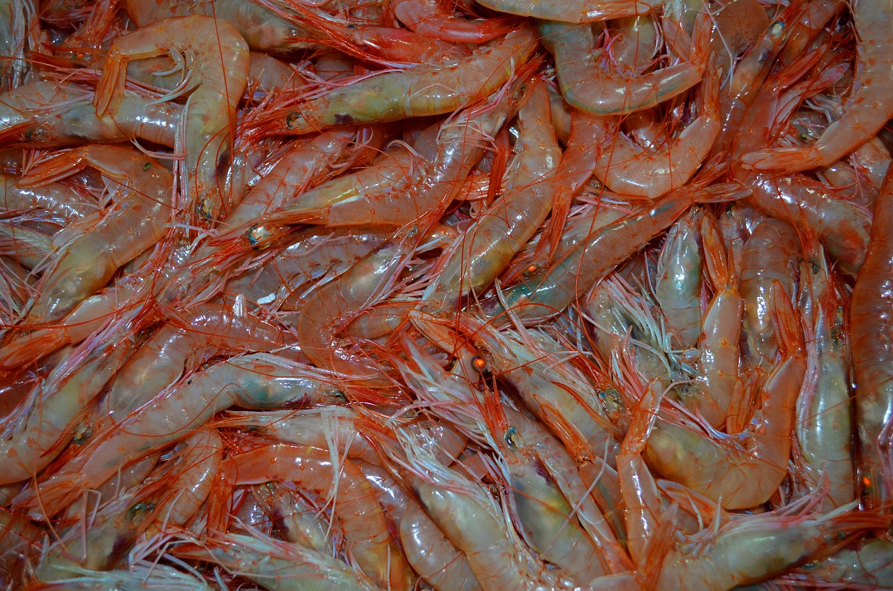 a pile of shrimp sitting on top of a table, by Richard Carline, pixabay, hurufiyya, birdseye view, in plastic, stock photo, market