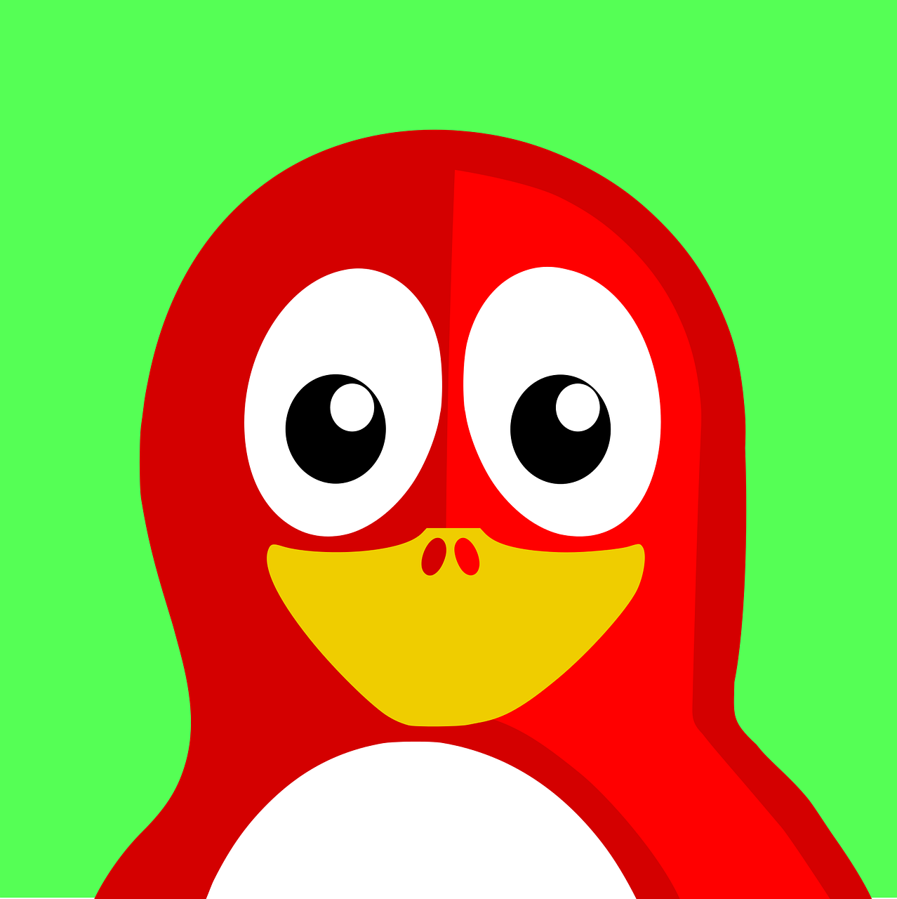 a cartoon penguin with big eyes on a green background, vector art, mingei, red color theme, uganda knuckles, flash photo, 🐿🍸🍋