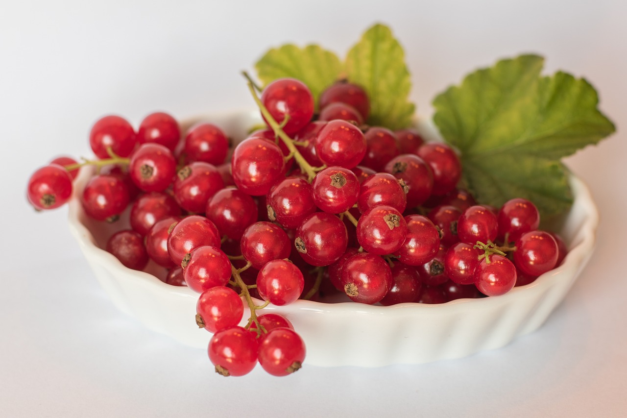 a white bowl filled with lots of red berries, a still life, by Emma Andijewska, trending on pixabay, bauhaus, wearing gilded ribes, very crisp details, avatar image, soft chin