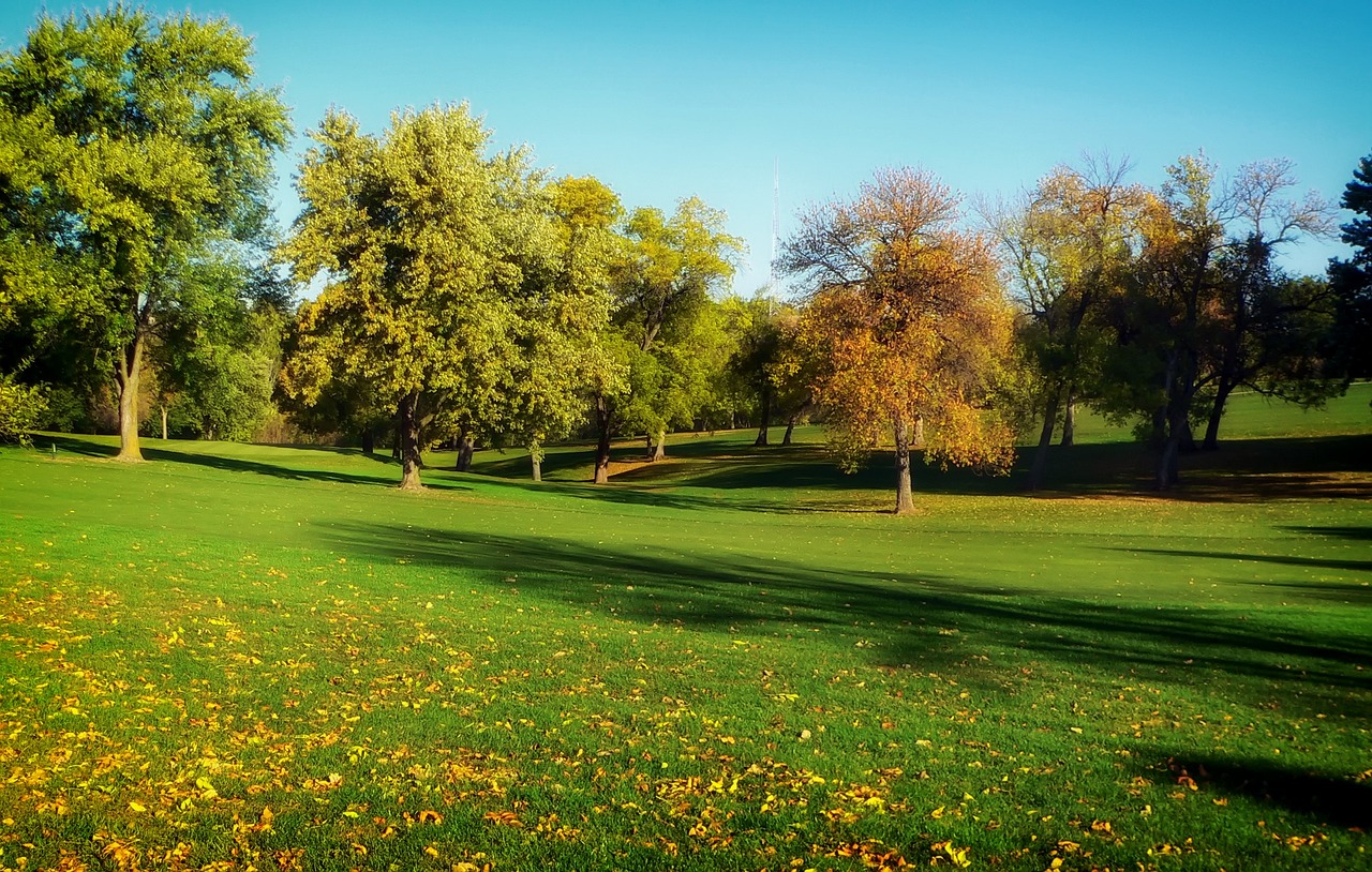 a park filled with lots of green grass and trees, shutterstock, autum, minn, professionally color graded, prairie