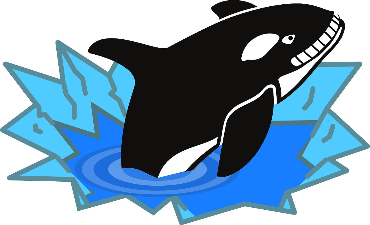 a black and white orca whale jumping out of the water, a cartoon, pixabay, cobra, black and aqua colors, theme park, icy, a high angle shot