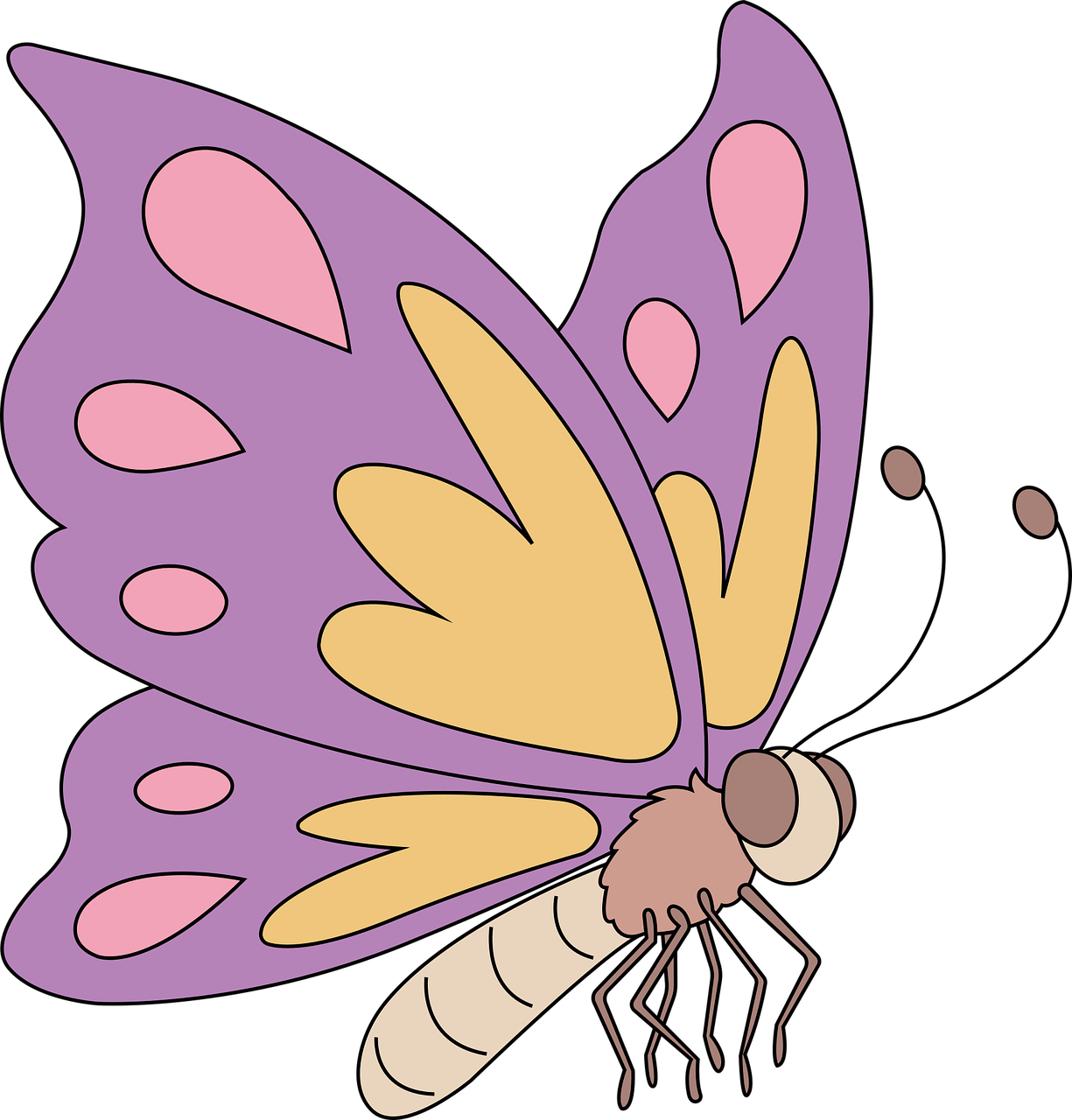 a purple and yellow butterfly on a black background, an illustration of, hurufiyya, cartoon style illustration, worm, front side full, cartoon image