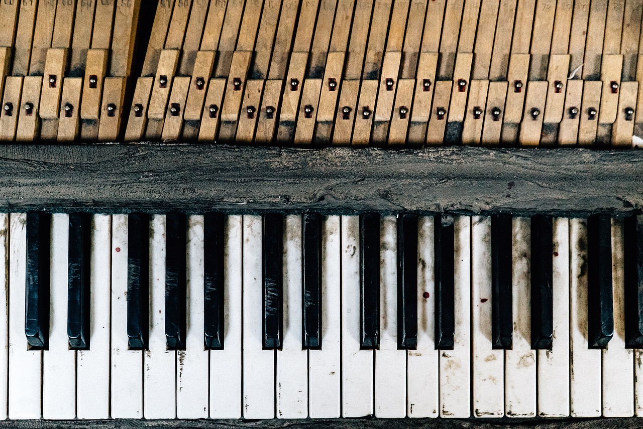 a close up of the keys of a piano, an album cover, inspired by Bryan Organ, pexels, decay texture, 🎨🖌, abandoned, ivory and ebony