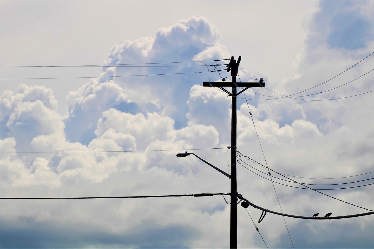 a couple of birds sitting on top of a power pole, by Tom Carapic, big clouds, single figure, 30 year old man, on a hot australian day