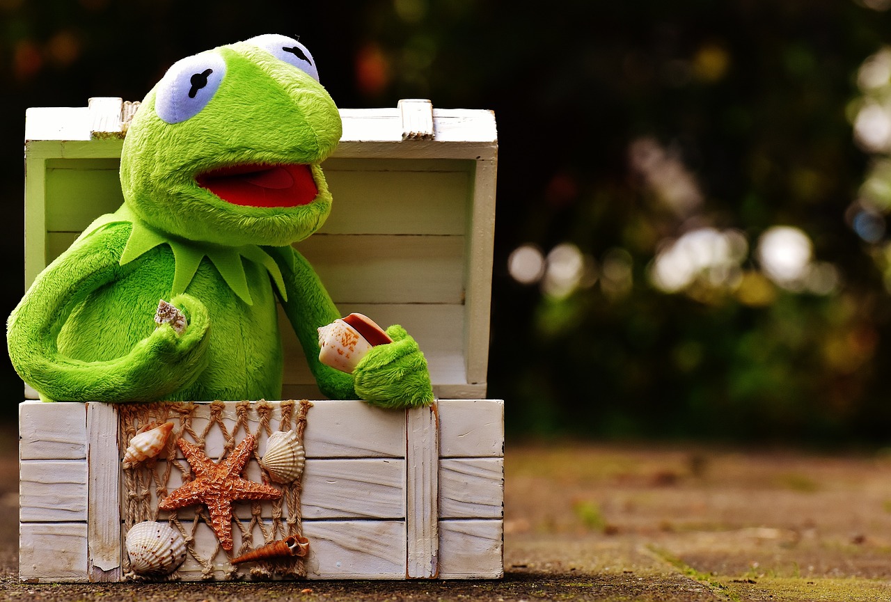 a close up of a stuffed animal in a box, a picture, inspired by Károly Brocky, pixabay contest winner, film still of kermit the frog, treasure chest, outdoor photo, beautiful wallpaper