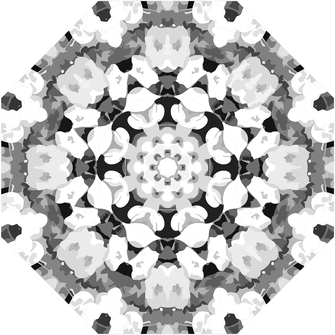 a black and white image of a snowflake, a digital rendering, generative art, seen through a kaleidoscope, hexagonal stones, rorschach test, floral dream