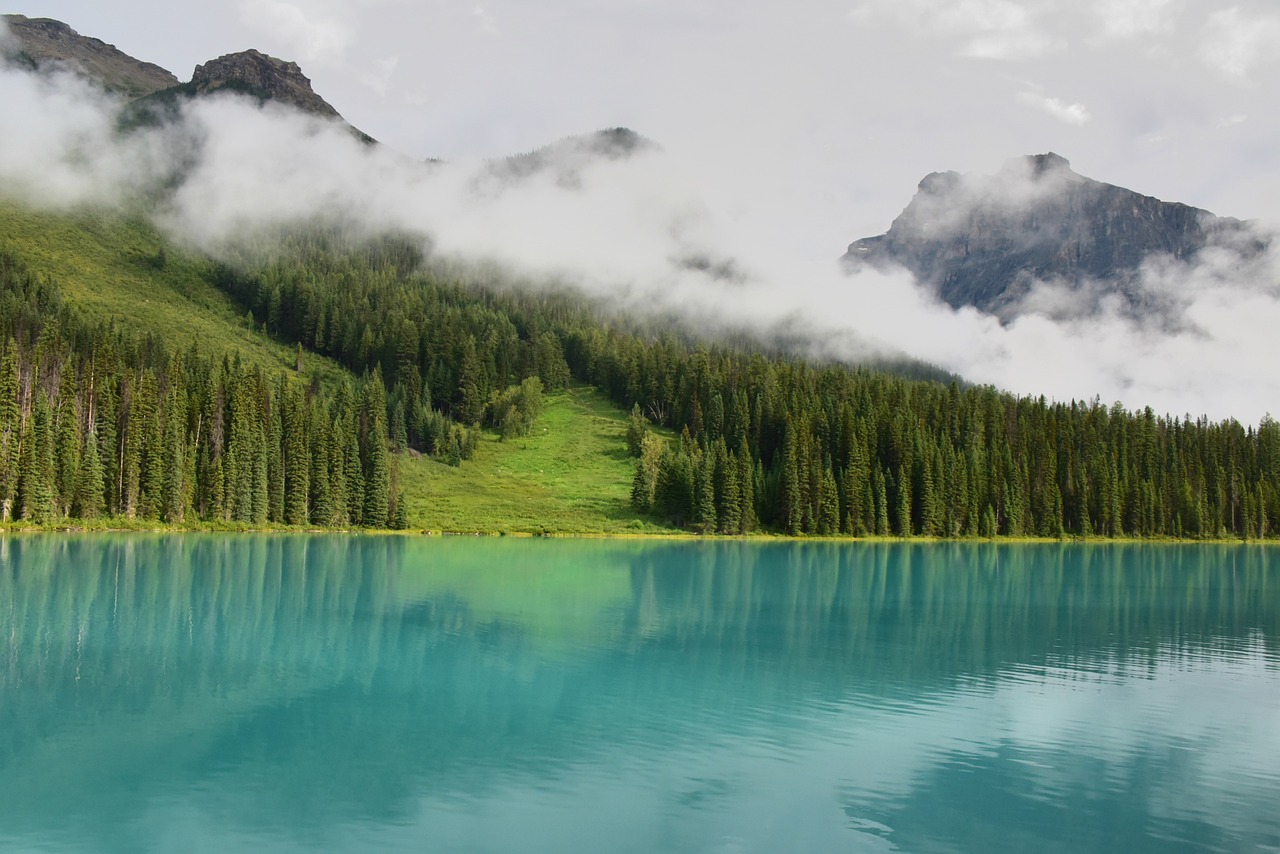 a large body of water surrounded by trees, a matte painting, by Bernardino Mei, shutterstock, banff national park, stock photo
