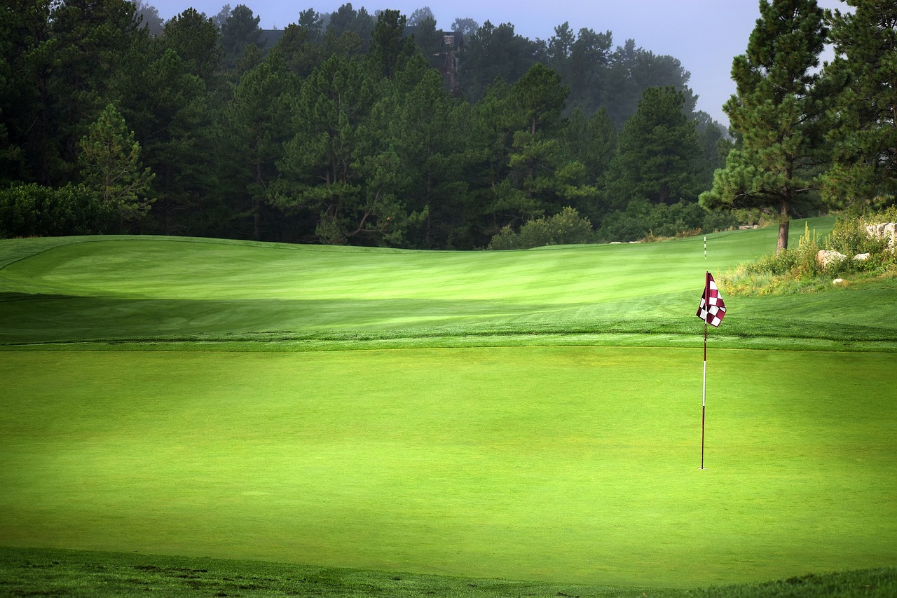 a man standing on top of a green golf course, by Tom Carapic, flickr, in avila pinewood, long shot wide shot full shot, flag, pine