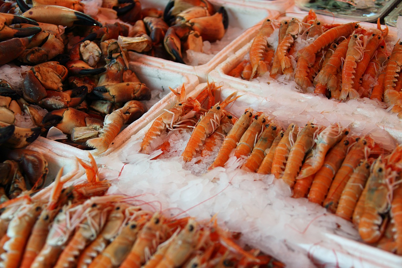 a display case filled with lots of different types of seafood, pexels, plasticien, sharp claws close up, high res photo, prawn, foam