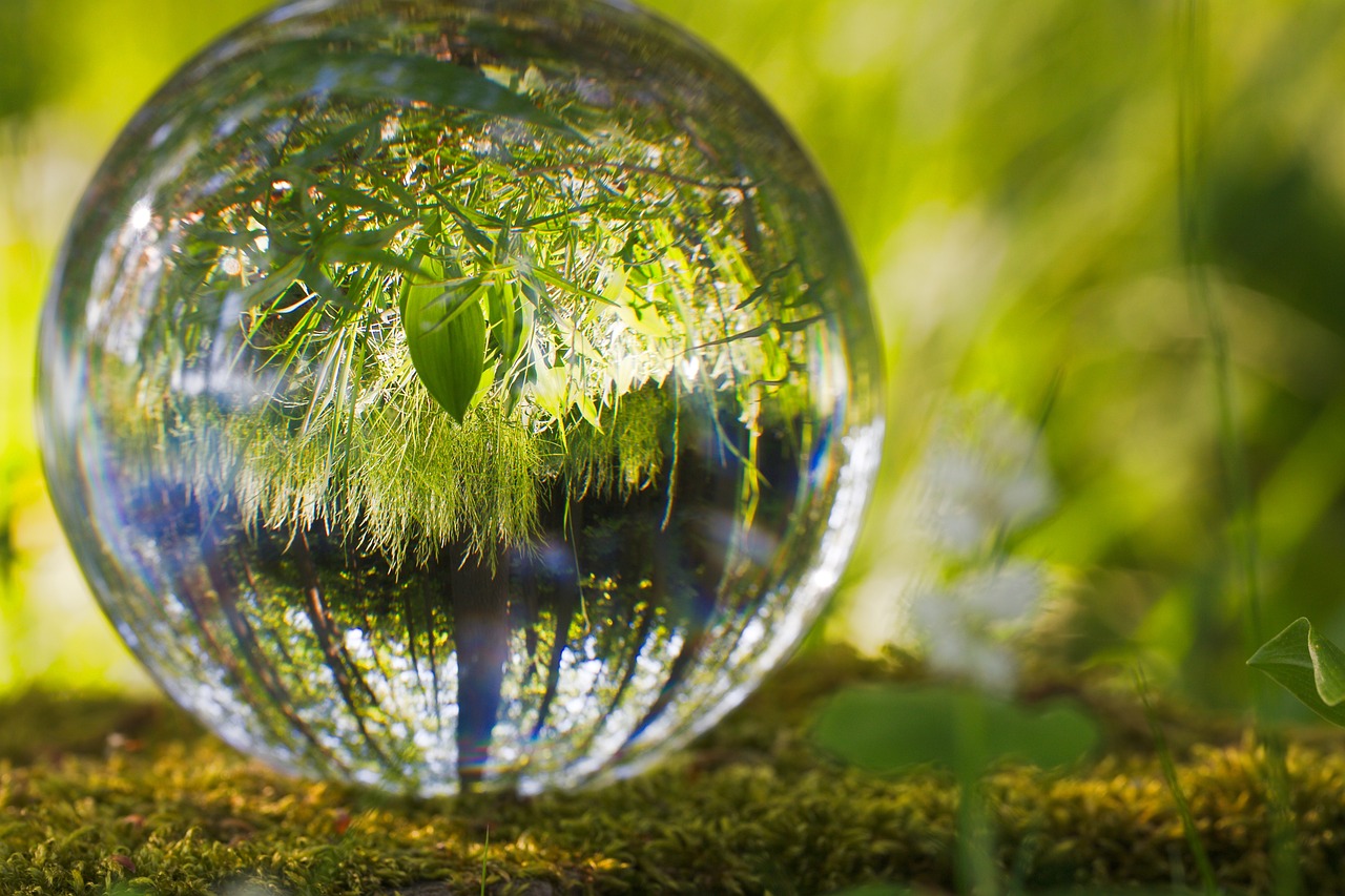 a glass ball sitting on top of a moss covered ground, by Julian Allen, environmental art, refractive crystal, reflections. shady, istock, clear photo