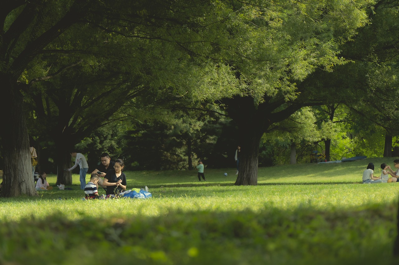 a group of people sitting on top of a lush green field, a picture, pexels, realism, sitting in tokyo, sitting under a tree, families playing, f2.8 35mm