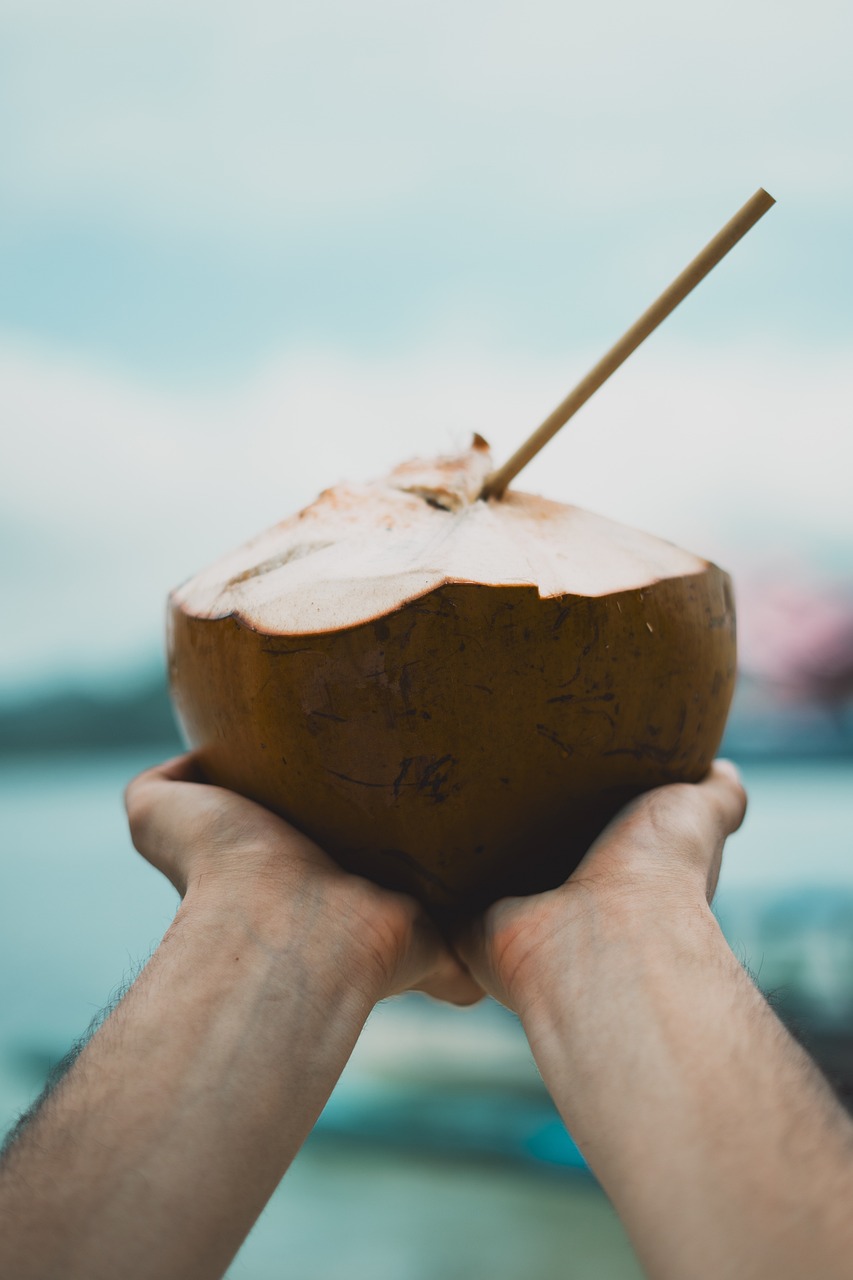 a person holding a coconut with a stick sticking out of it, a stock photo, pexels contest winner, juice, photo taken from a boat, 🦩🪐🐞👩🏻🦳, stock photo