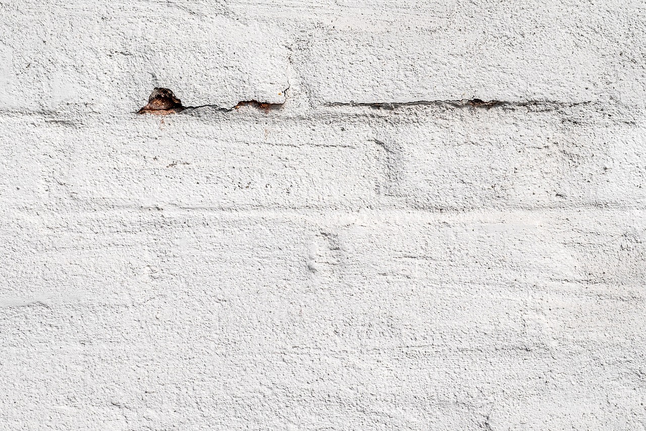 a fire hydrant in front of a white brick wall, inspired by William Congdon, minimalism, texture detail, 1811, fissures, white powder bricks