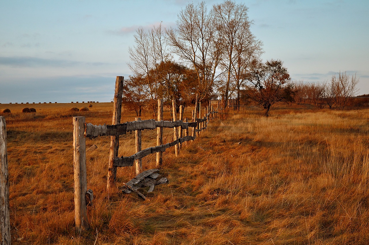 a wooden fence in the middle of a field, by Konrad Grob, flickr, autumn light, buffalo, well worn, savanna