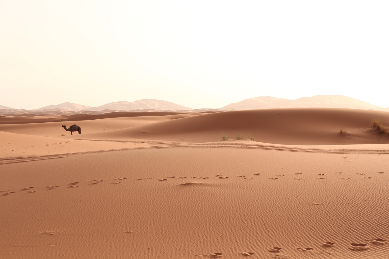 a person riding a camel in the desert, inspired by Frederick Goodall, les nabis, minimal canon 5 0 mm, footprints in the sand, july 2 0 1 1, landscape wide shot