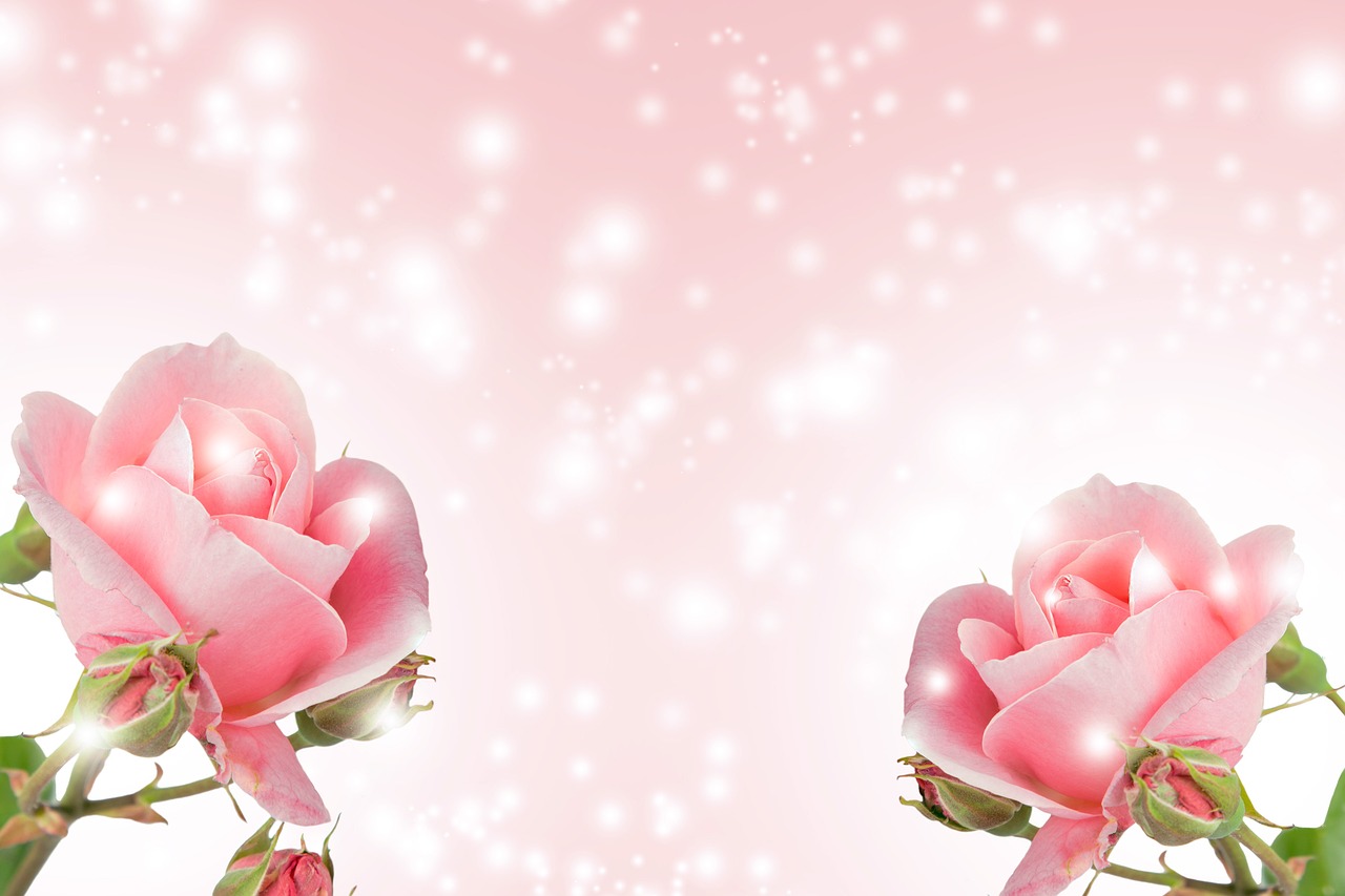 a couple of pink roses sitting next to each other, digital art, by Li Mei-shu, trending on pixabay, background is heavenly, glittering and soft, wide wide shot, background bar