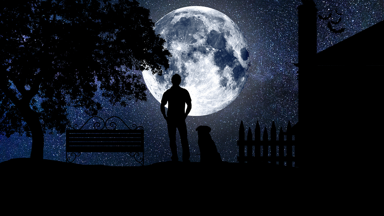 a man and a dog standing in front of a full moon, a picture, pixabay contest winner, conceptual art, back yard, ((((((((night)))))))) day time, istock, random background scene