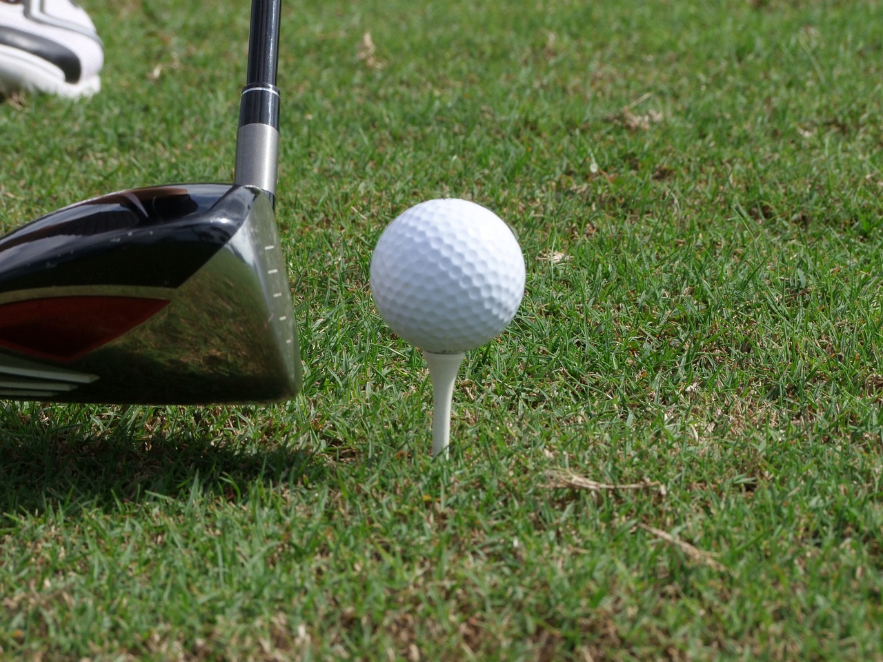 a golf ball on a tee next to a golf club, happening, avatar image, file photo, close up image