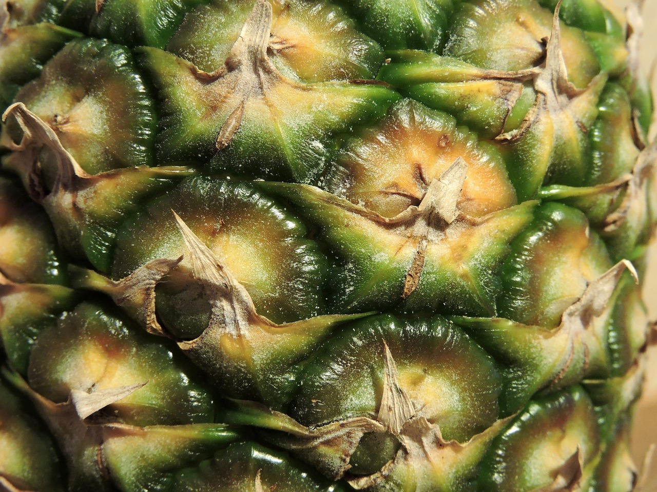 a close up of a pineapple on a table, a macro photograph, by Jon Coffelt, seamless texture, grain”