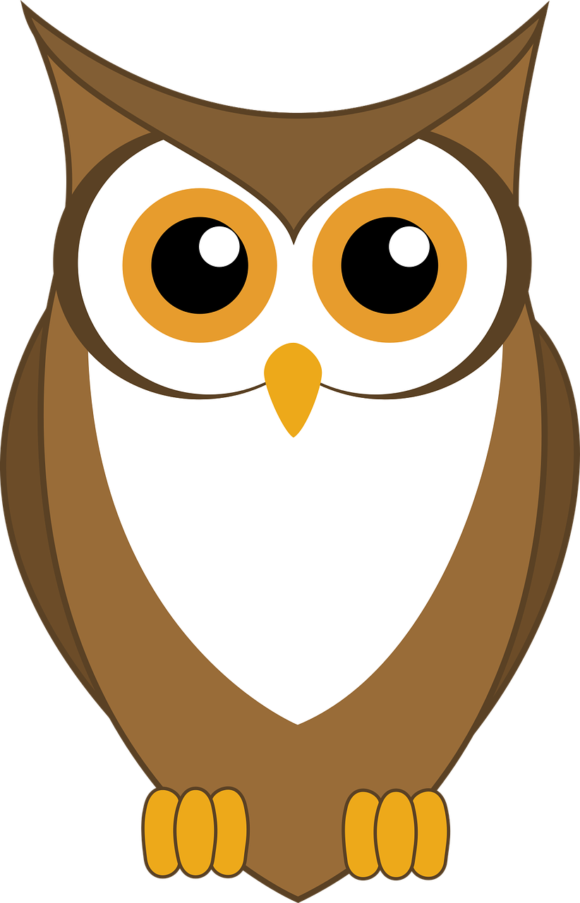 a brown and white owl with big eyes, vector art, pixabay, hurufiyya, minimalist, nighttime!!!!!!, bird\'s eye view, phone photo