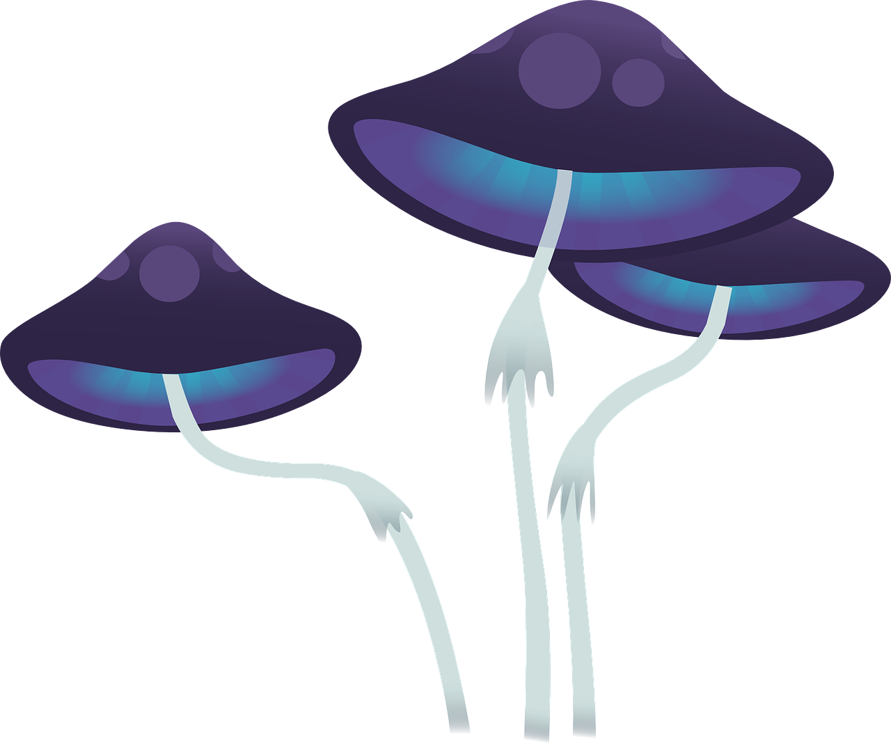 a group of blue mushrooms on a black background, concept art, by Robert Richenburg, conceptual art, no gradients, glowing purple, high res photo, ufos