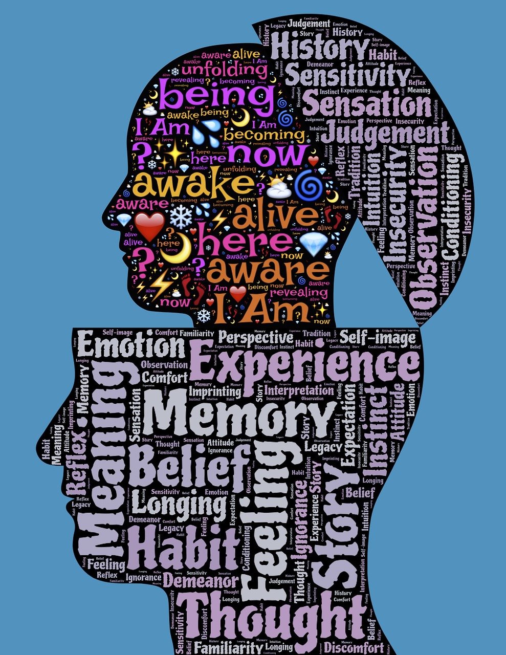 a silhouette of a person's head with words all over it, a picture, conceptual art, holographic memories, dementia, albuquerque, chakra diagram face