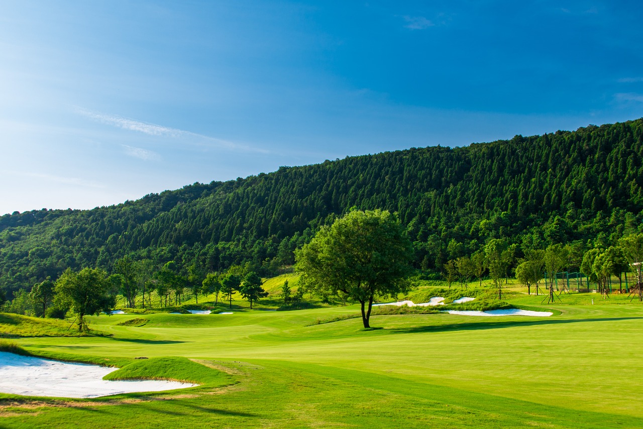 a golf course with a mountain in the background, by Yi Jaegwan, shutterstock, shin hanga, forest clearing landscape, vertical wallpaper, hillside, super wide shot