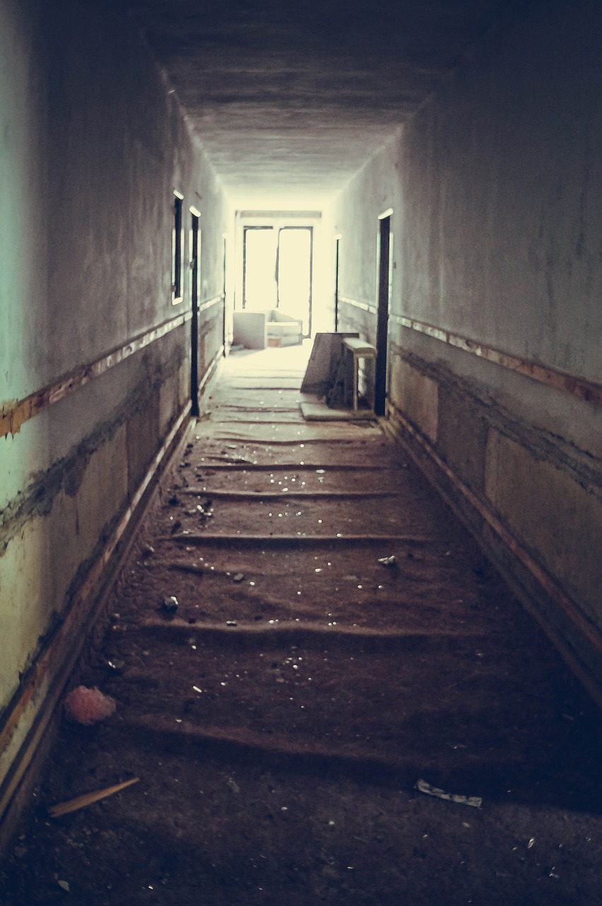 an empty hallway in a run down building, pexels, happening, nuclear aftermath, ground level view of soviet town, with a spooky filter applied, pov photo