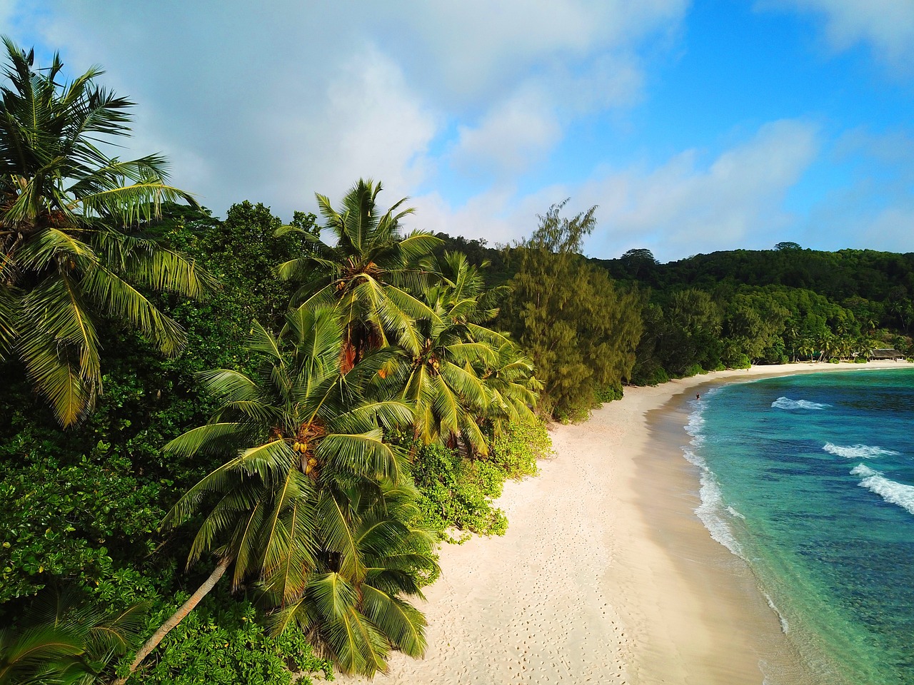 a beach lined with palm trees next to the ocean, a stock photo, hurufiyya, drone photo, karolina cummings, beautiful tropical island beach, lisa brawn