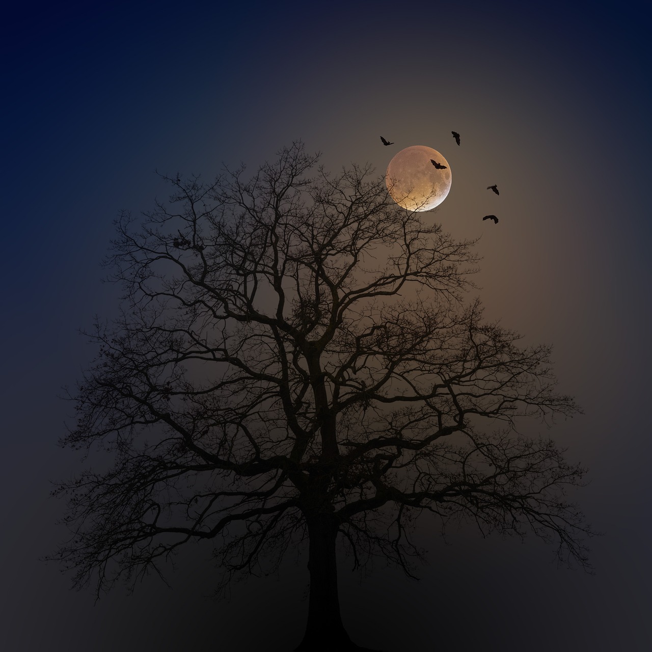 a tree with a full moon in the background, a photo, trending on pixabay, crows on the oak tree, dark atmosphere illustration, high quality fantasy stock photo
