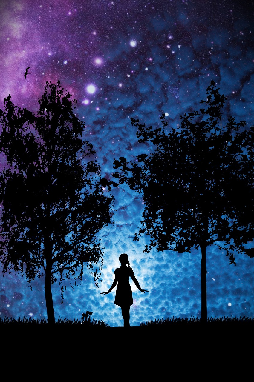a person that is standing in the grass, a picture, inspired by Maxfield Parrish, magical realism, trees and stars background, woman silhouette, edited in photoshop, star(sky) starry_sky