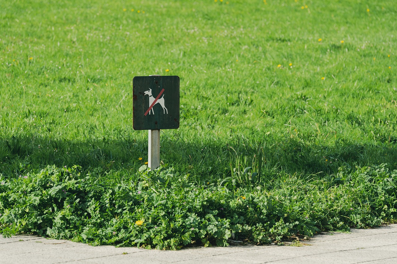 a green sign sitting on the side of a road, a poster, by Attila Meszlenyi, shutterstock, subject: dog, walking at the park, overgrowth of grass, telephoto shot