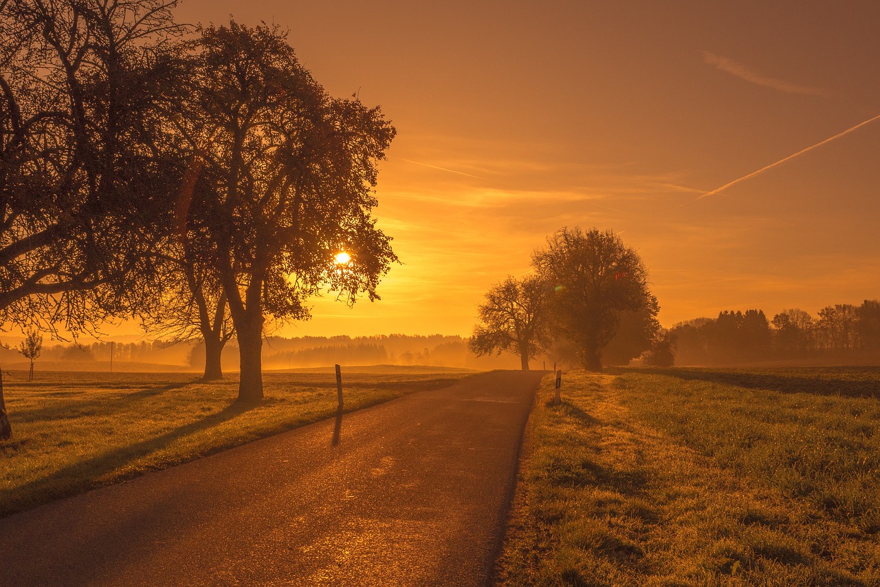 a couple of trees sitting on the side of a road, by Sebastian Spreng, pixabay contest winner, romanticism, early morning sunrise, orange yellow ethereal, by rainer hosch, very sunny weather