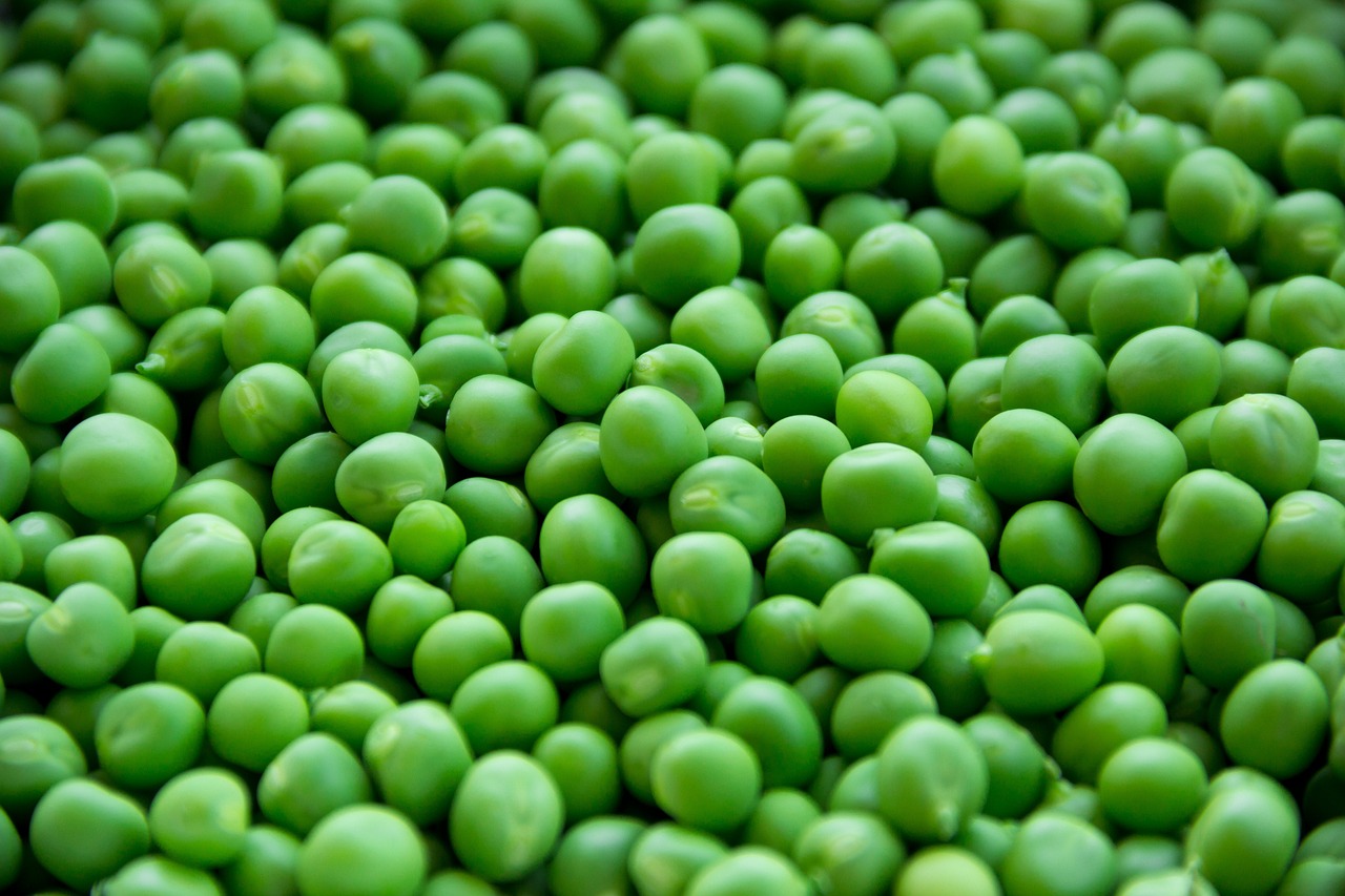 a close up of a pile of green peas, a digital rendering, pexels, 😭 🤮 💕 🎀, soup, grain”