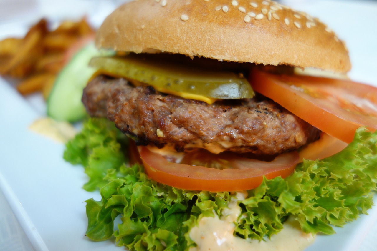 a hamburger sitting on top of a white plate, by Joe Bowler, pexels, organic detail, serving big macs, recipe, humus
